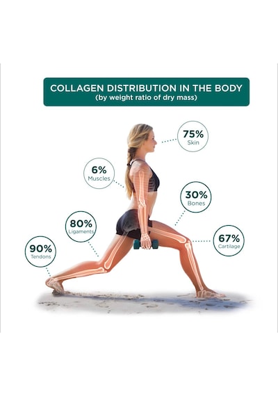 Genacol Plus Glucosamine Collagen 90 Kapsül