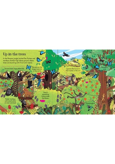 Look Inside The Jungle - Usborne