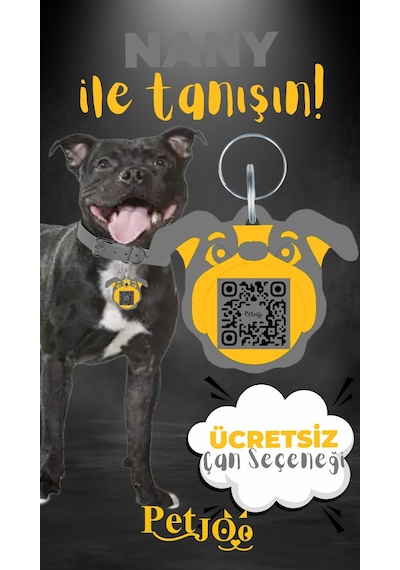 Petjoo 17.Nany Sarı-Gri Qr'lı Köpek Künyesi