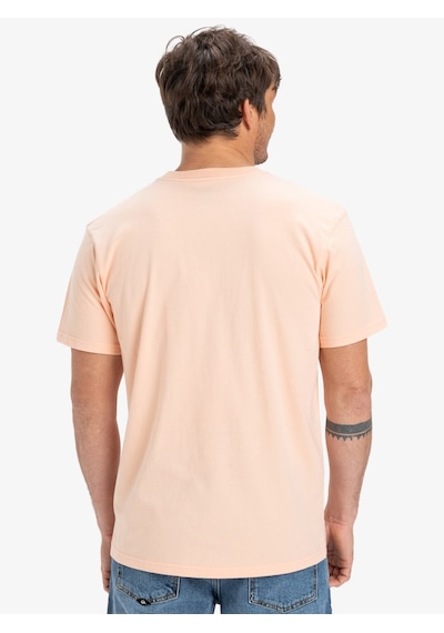 Quiksilver Quıksılver Peach Parfaıt Ev Gradıent Box Ss Erkek T-shırt Eqyzt08045-mef0 Pembe