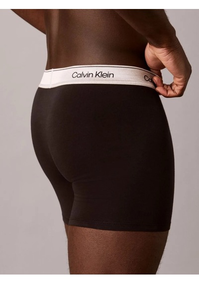 Calvin Klein Erkek Marka Logolu Günlük Kullanıma Uygun Gri Boxer Lv00nb4731 4xb