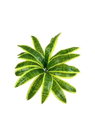 Yapay Çiçek Dracaena Massengena Yaprağı Demeti 12 Yapraklı 40x50C