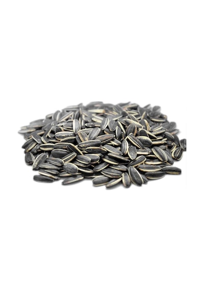 Ayvalık Baharat Dakota Tuzsuz Çekirdeği 250 G