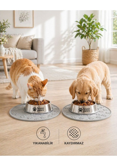 Silikon Mama Matı Kedi & Köpek İçin Kaymaz, Yıkanabilir, Havuzlu Mama Altlığı