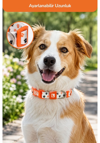 Köpekler İçin Dayanıklı Ve Güvenli, Desenli Boyun Tasması 25mm Pati