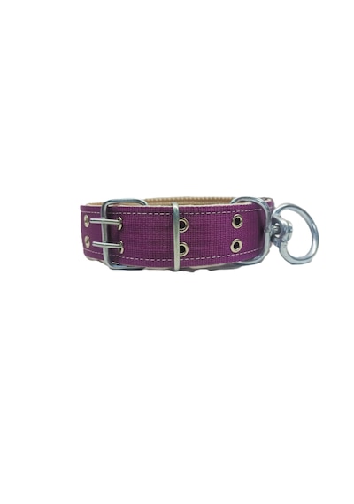 İri Ve Büyük Cinsler İçin Kanğal Köpek Tasması 80x5 Cm Mor