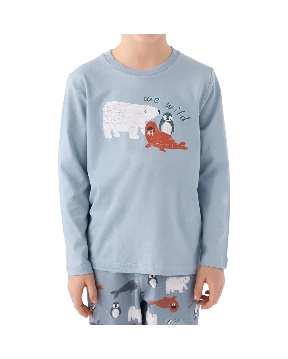 Rolypoly Rp3420-2 Erkek Çocuk Kışlık İkili Pijama Takım Soft Yeşil