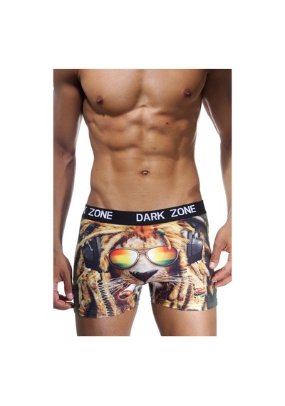 Darkzone Rastalı Aslan Desenli 3D Erkek Boxer - Dzn1081
