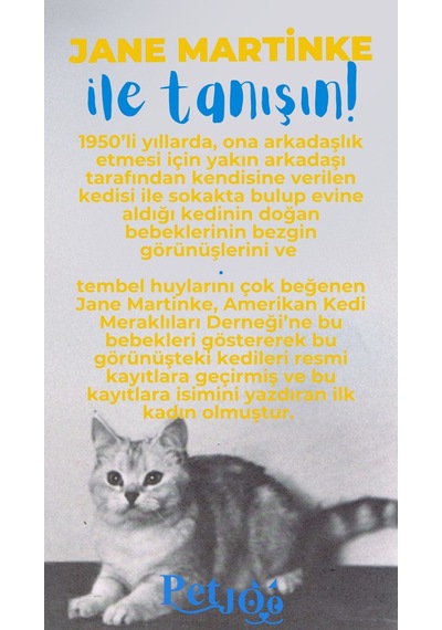 Petjoo 5.Jane Martinke Mavi-Sarı Qr'lı Kedi Künyesi