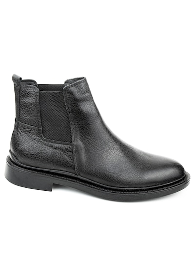 Dexter Dx396105-1 Renkli