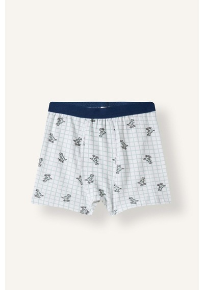 Defacto Dinozor Baskılı Penye 3lü Boxer Erkek Çocuk I4097a826auwt34 Beyaz-wt34