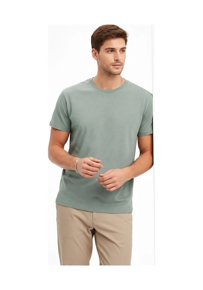 Barlashive Erkek Bisiklet Yaka Yazlık Kısa Kol Düz Tişört Regular Kalıp T-shirt - Mint Yeşili Çok Renkli