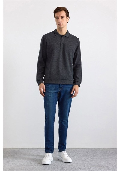 Süvari Antrasit Regular Düz Polo Yaka Sweatshirt Ssw2013700002-s08