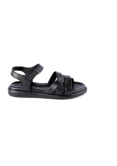 Dexter Ofl1073-220-1 Kadın Sandalet Çok Renkli