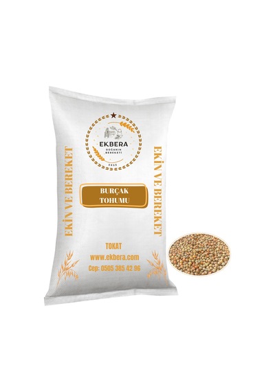 Burçak Müdürmük Tohumu 1 Kg Ekimlik Yemlik Diyet Dostu Çok Amaçlı - 717471831
