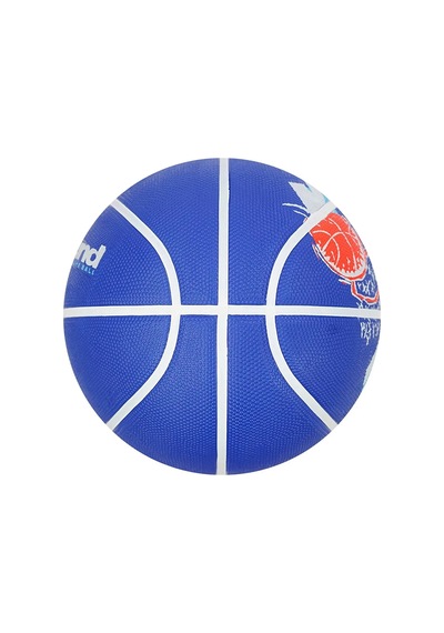 Nike Everyday Playground 8p Unisex Mavi Basketbol Topu N.100.4371.414.07