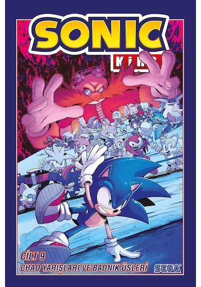 Kirpi Sonic Cilt 9: Chao Yarışları Ve Badnik Üsleri