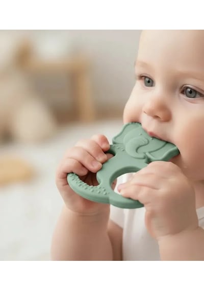 Babyjem Silikon Fil Diş Kaşıyıcı Mint