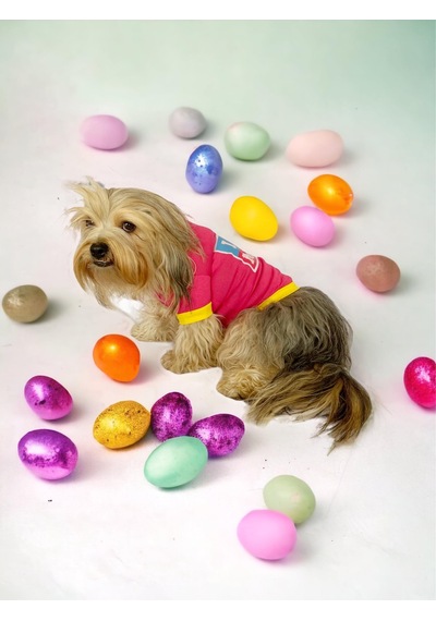 Kemique Hediye Paketli Anneler Günü I Love Mom Pink Oval Yaka Köpek Tişört