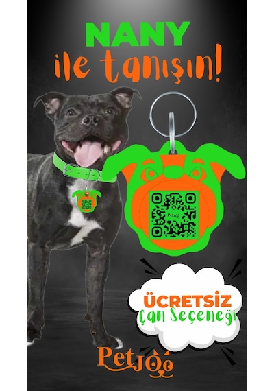 Petjoo 17.Nany Turuncu-Yeşil Qr'lı Köpek Künyesi