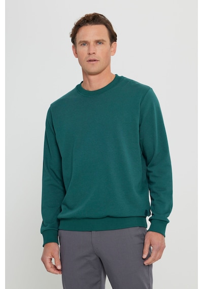 Ac&Co / Altınyıldız Classics Standart Fit Normal Kesim Bisiklet Yaka Erkek Sweatshirt - Koyu Yeşil