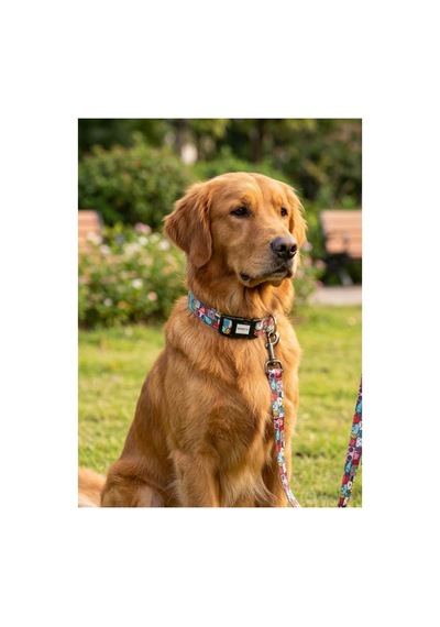 Geri Dönüştürülmüş Doğa Dostu Ayarlanabilir Kedi Köpek Boyun Tasması Karakter Desenli Çok Renkli