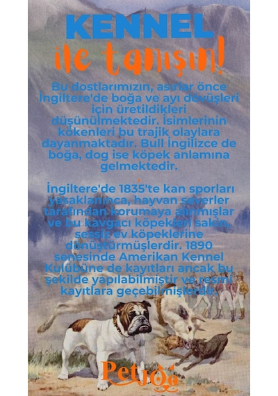 Petjoo 16.Kennel Turuncu-Mavi Qr'lı Köpek Künyesi