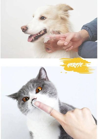 Kedi Köpek Evcil Hayvan Diş Tartar Diş Temizleyici Silikon Diş Bakım Fırçası Diş Fırçası