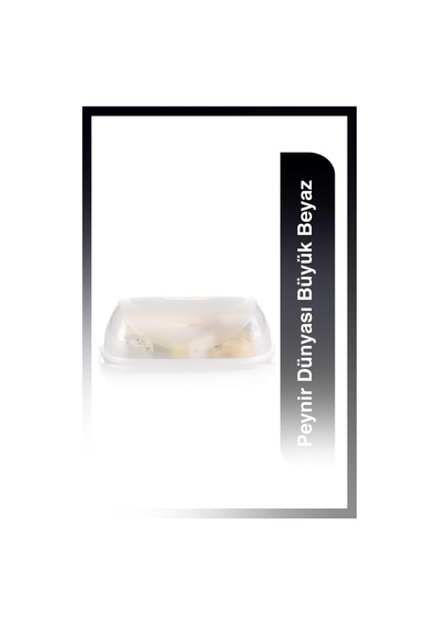 Tupperware Peynir Dünyası Büyük Beyaz
