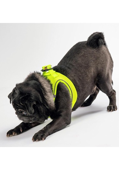 Pawstar Sarı -mesh Göğüs Tasması Göğüs Tasması Sarı Xl Sku: Smg8690010328199