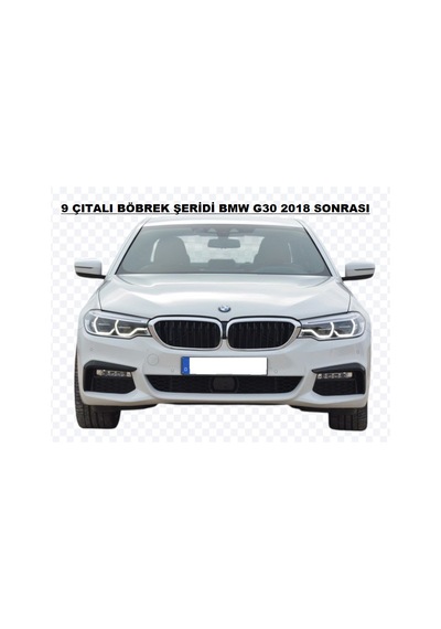 Bmw G30 2018 + Makyajsız Kasa Böbrek Şeridi 3 Renk 9 Rods