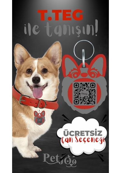 Petjoo 15.T.Teg Gri-Kırmızı Qr'lı Köpek Künyesi