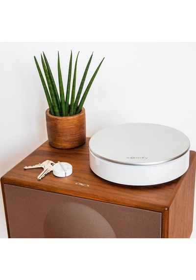 Somfy 2401494 İç Mekan Siren Hırsızları Caydırır Ve Kaçırır