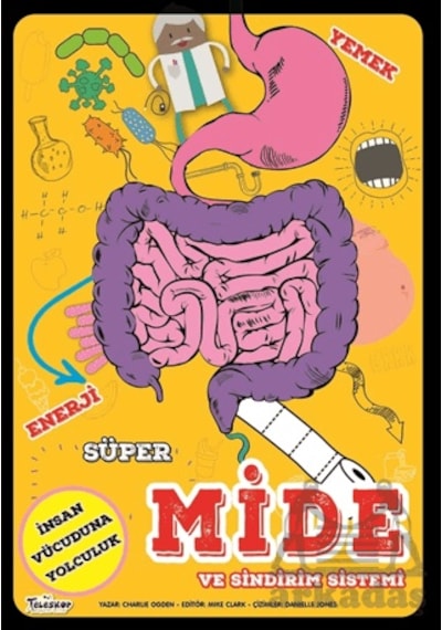 Süper Mide Ve Sindirim Sistemi