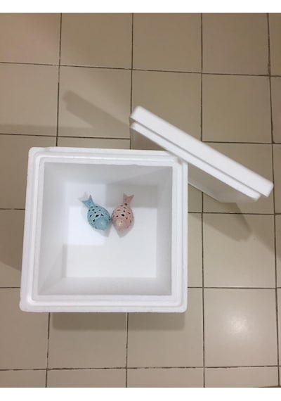 8.5 Kg Sert Kalın Derin Eps Strafor Termos Köpük Kutu