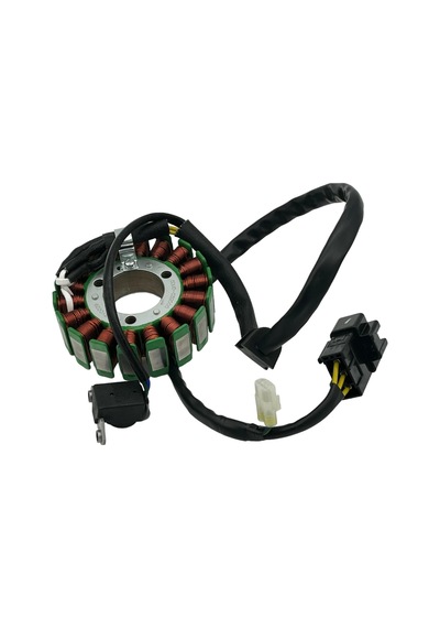 Gtem Cf Moto Nk 250 Statör