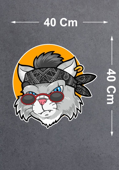 Gözlüklü Kedi Sticker - Araba Oto Motosiklet Karavan Cam Sticker - 00247 40x40 Cm