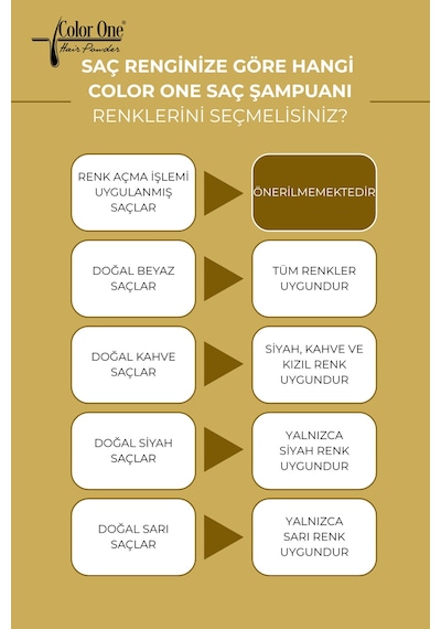 Siyah Black Saç Şampuanı 300 Ml & Ton Etkisi Tüm Saç Tipleri