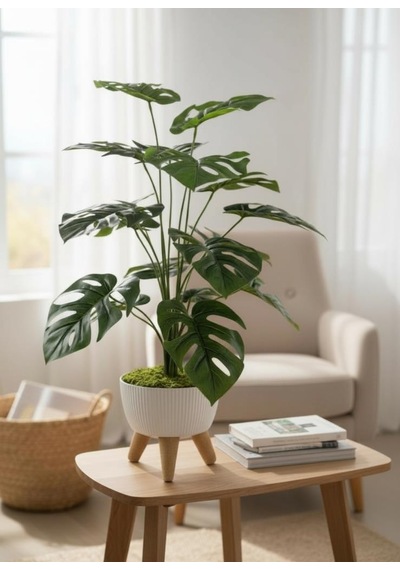 Yapay Çiçek Salon Bitkisi Monstera 70cm 18 Yaprak Beyaz Zigon Saksıda Yeşil