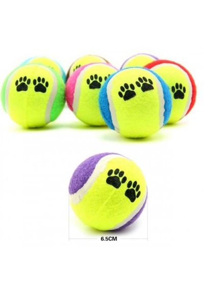 At Getir Köpek Eğitim Topu 5639