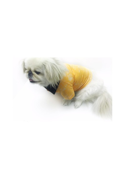 Orange Skies Polo Yaka Tişört Köpek Kıyafeti Köpek Elbisesi Orange Skies Polo Yaka Tişört Köpek Kıyafeti Köpek Elbisesi