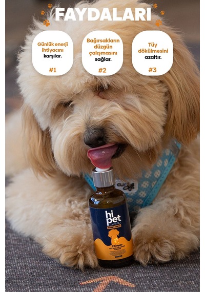 HiPet Köpekler İçin Vitamin B