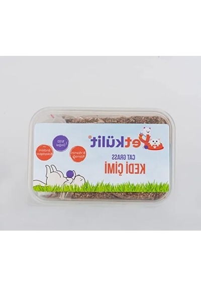 Şeffaf Kedi Çimi - Doğal Ve Sağlıklı