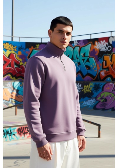 Benerly Erkek Dik Yaka Fermuarlı Standart Kol Regular Kalıp Sweatshirt Fo Mor