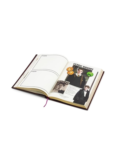 Harry Potter Ajanda Ciltli Çok Renkli