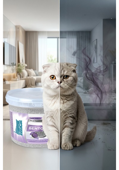 Lavantalı Gri Aktif Karbonlu Bentonit Kedi Kumu 2x10 Lt Güçlü Topaklanan, Koku Kontrolü, Kovalı