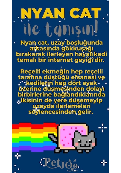 Petjoo 2.Nyan Cat Gri-Sarı Qr'lı Kedi Künyesi