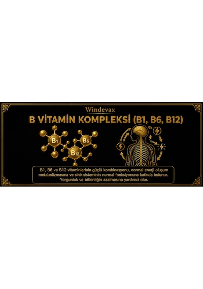 Windevax Sitikolin, Ginkgo, B1 Vitamini, B6 Vitamini, B12 Vitamini İçeren Takviye Edici Gıda 60 Kapsül