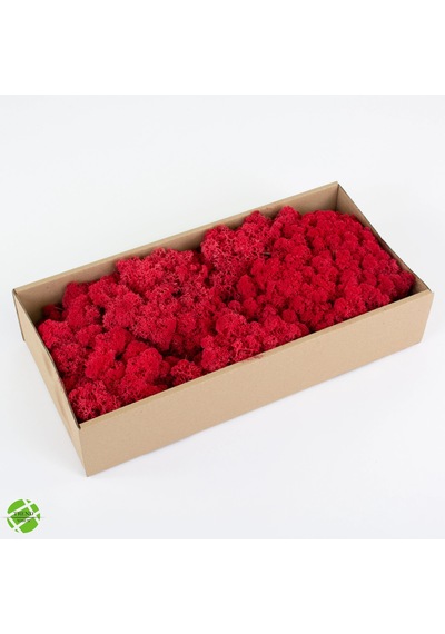Reindeer Moss Kırmızı Şoklanmış Norveç Yosunu 30gr