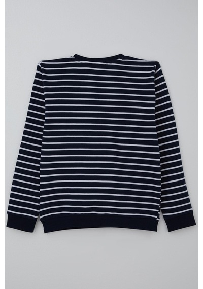 Breeze Erkek Çocuk Sweatshirt Arma Detaylı Çizgili 4-8 Yaş, Lacivert Lacivert